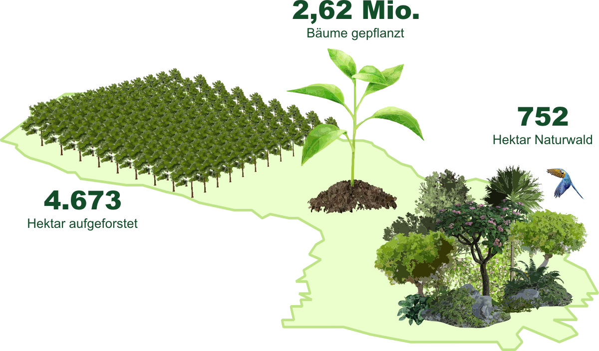 Infografik de
