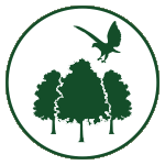Aufforstung