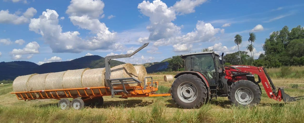 farm7.jpg