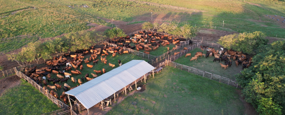 farm8.jpg